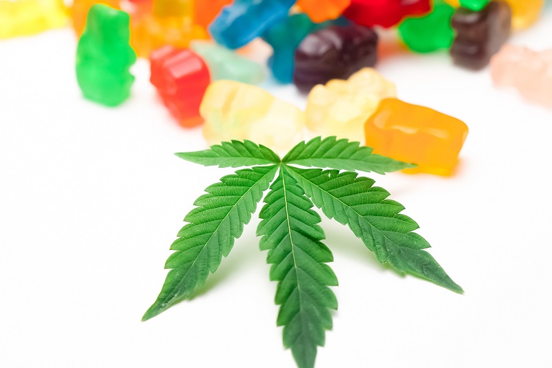 How Long Will CBD Gummies Last Close Up of a Cannabis Leaf with Blurry Gummies Behind it
