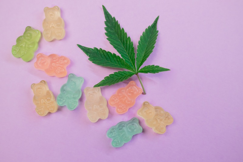 How Long Will CBD Gummies Last Cannabis Leaf Sitting on a Faded Purple Table Top with a Handful of Gummy Bears Next to it