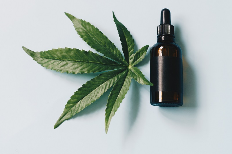 How Long will CBD Tinctures Last in the Bottle Close Up of a Single Bottle of CBD Oil with a Single Hemp Plant Leaf