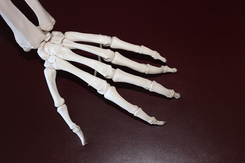 What is Hemp Used for Medically Close Up of a Fake Skeleton Hand