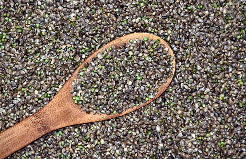 What is Hemp Used for Medically Hemp Seeds with a Wooden Spoon in the Middle of Them