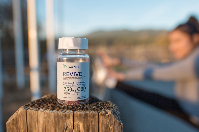 Where to Buy Revive CBD Gummies Close Up of a Bottle of Gummies Sitting on a Fence Post