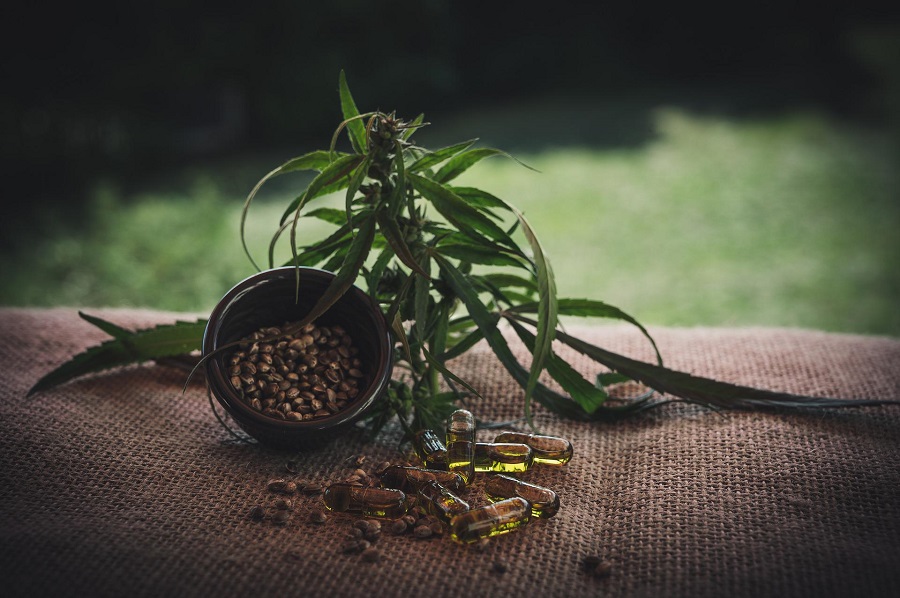 Why PlantMD CBD is the Best Value Close Up of a Hemp Plant, Hemp Seeds, and CBD Capsules