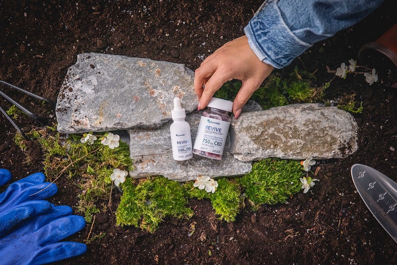 Where to Buy PlantMD CBD Person Reaching for One of the PlantMD CBD Products Sitting on a Rock