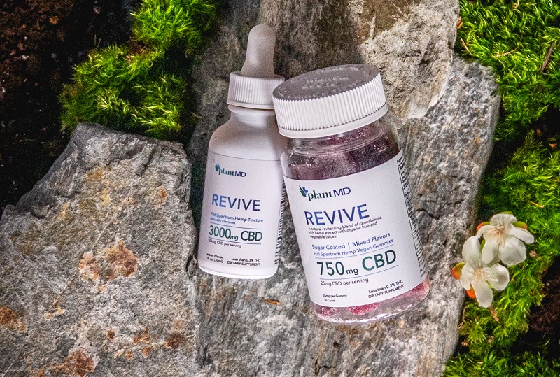 Where to Buy PlantMD CBD Products Lying on a Rock Outside