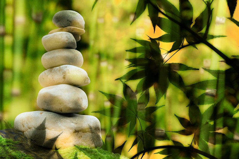How to Use CBD for Meditation Rocks Piled Up in a Bamboo Field
